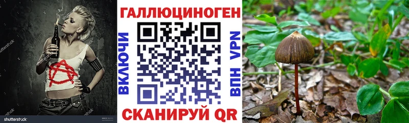 Псилоцибиновые грибы мицелий продажа наркотиков Тайшет
